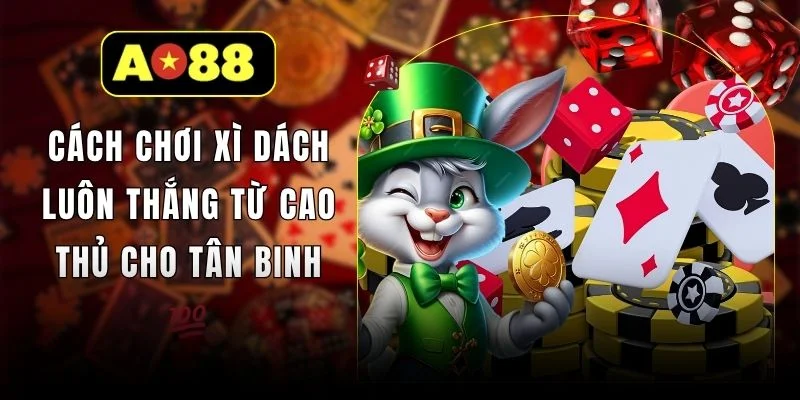 Cách Chơi Xì Dách Luôn Thắng Từ Cao Thủ Cho Tân Binh 💯
