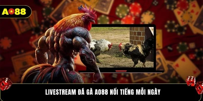 Livestream đá gà AO88 nổi tiếng mỗi ngày